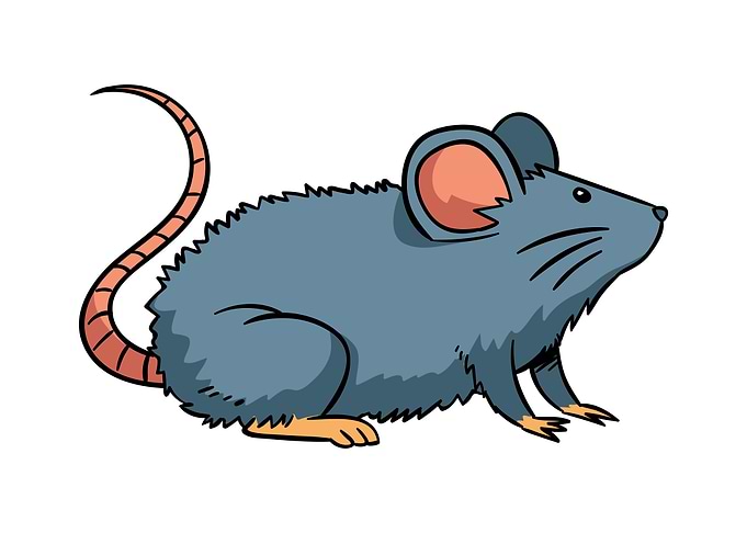 Mouse