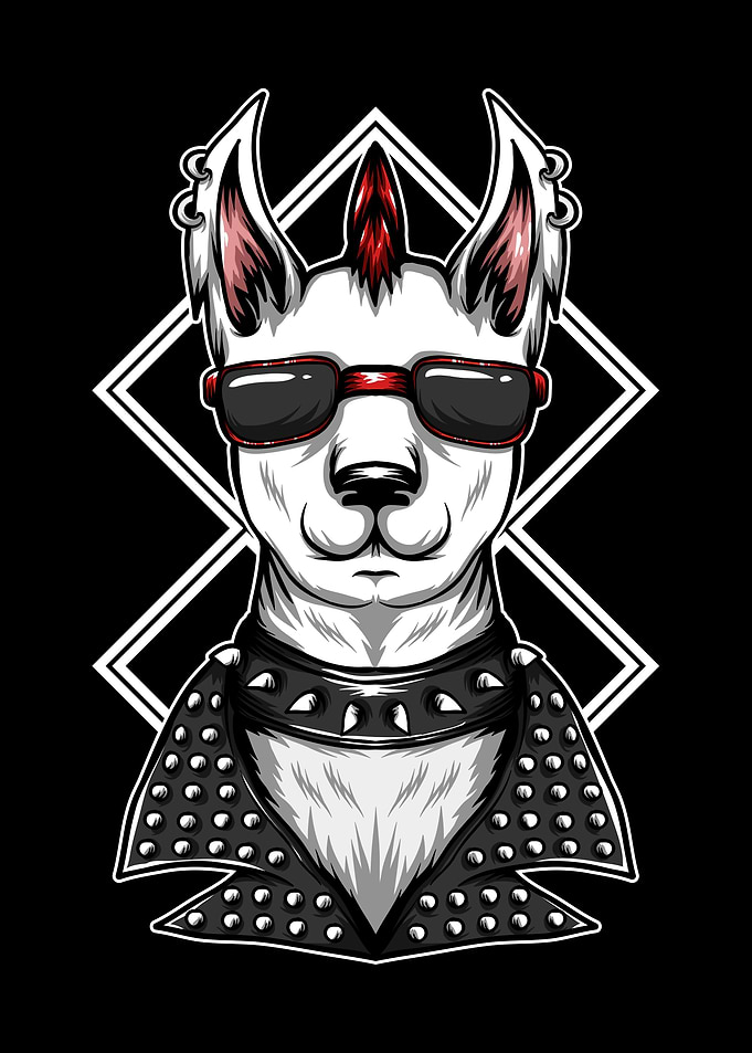llama