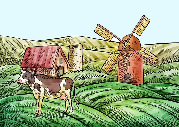 Cow