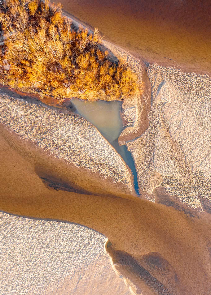 Aerial Estuary