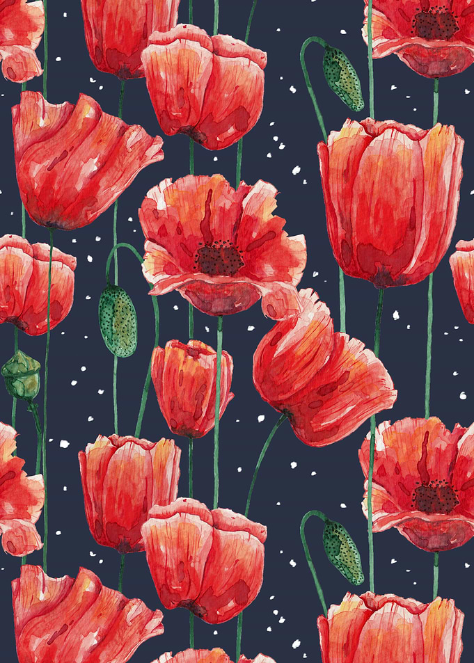 Poppies Garden
