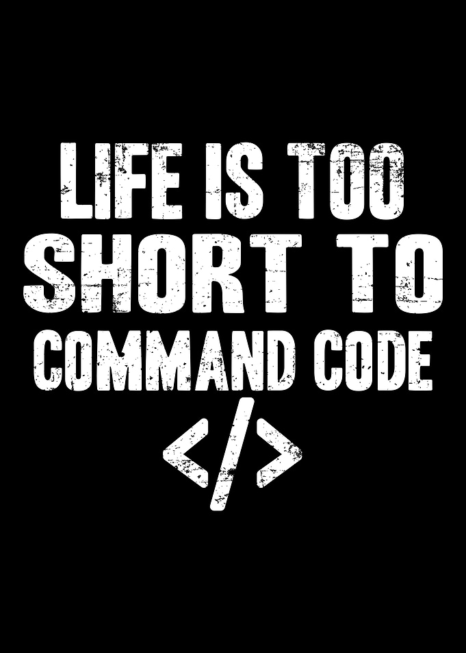 Programmer Web Developer