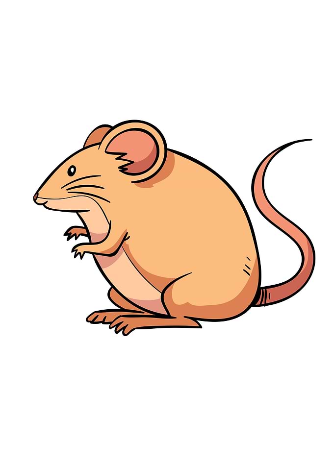 Mouse