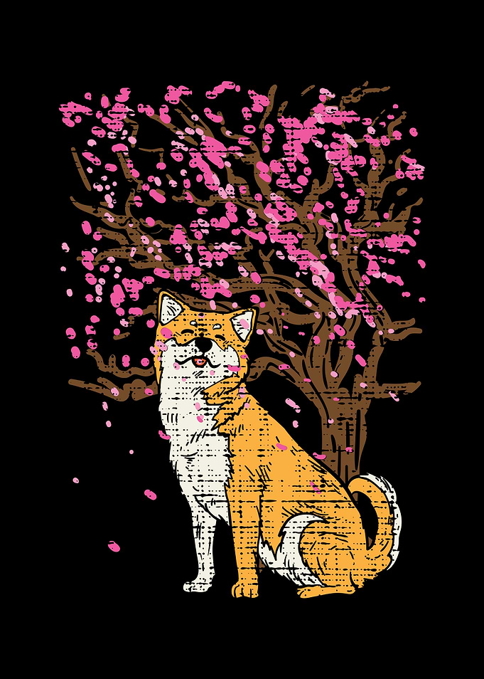 Shiba Inu