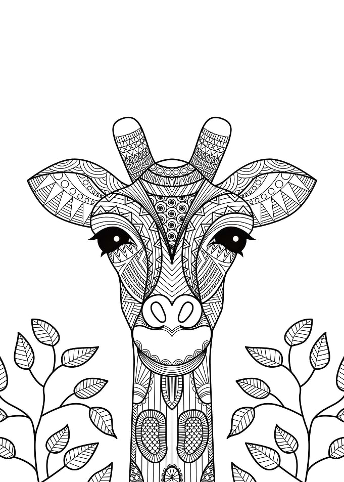 giraffe