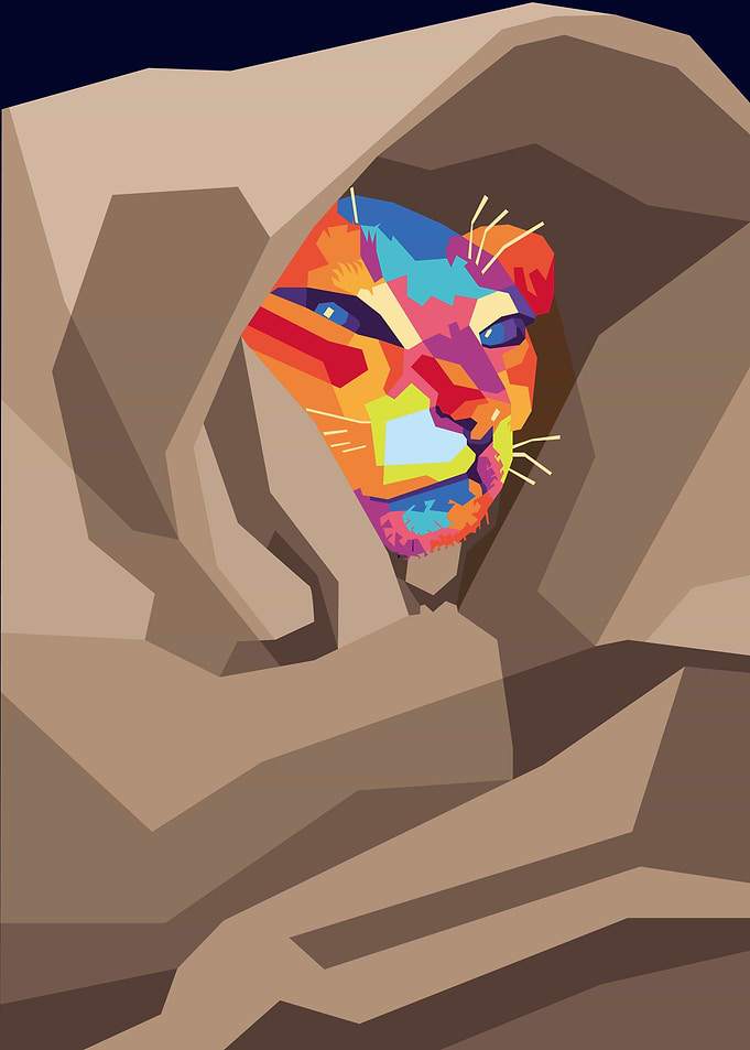 cat in wpap