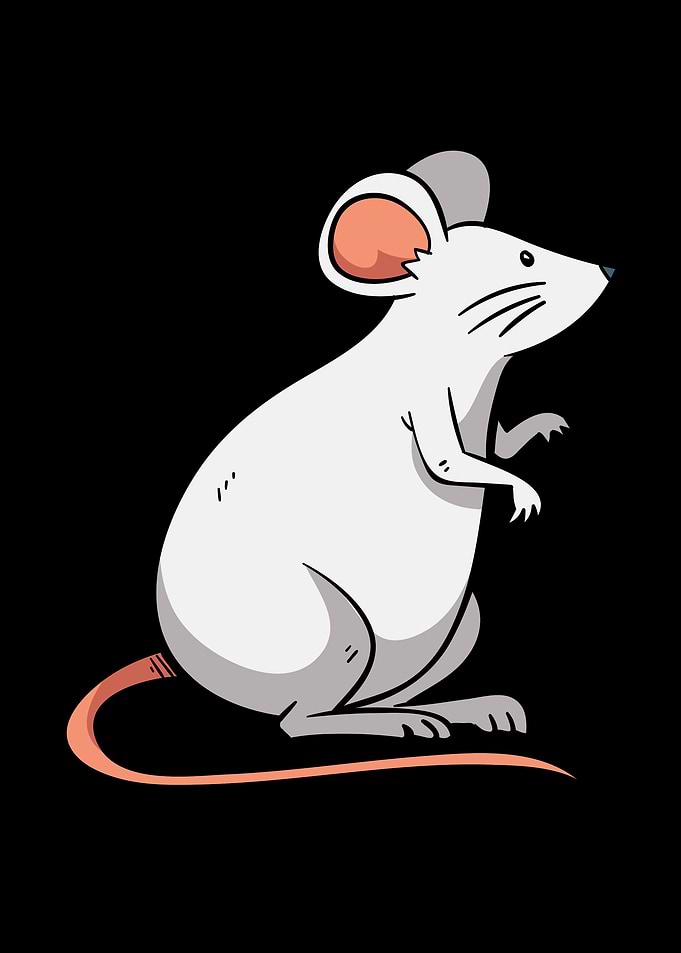 mouse