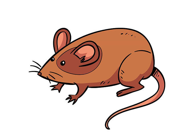 Mouse