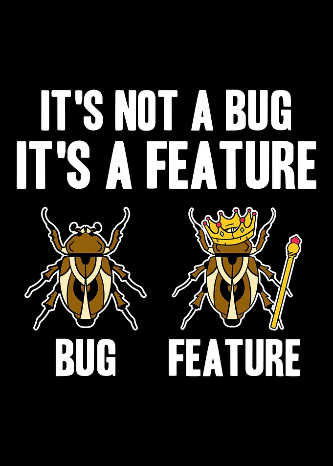 Programmer Web Developer