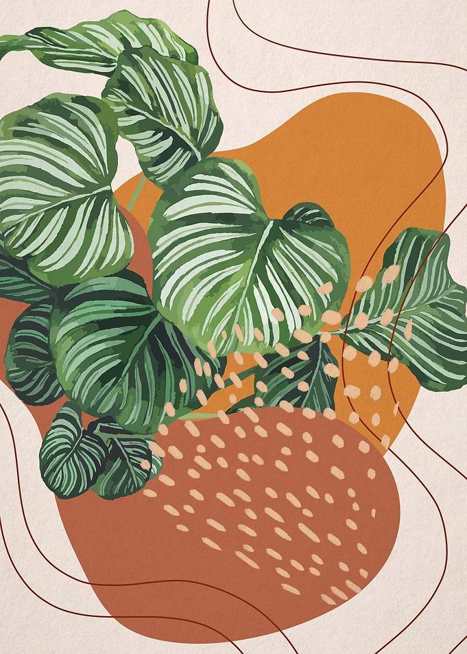 Bohemian Plants 4