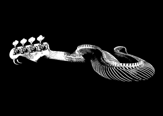 Headstock Snake Bass