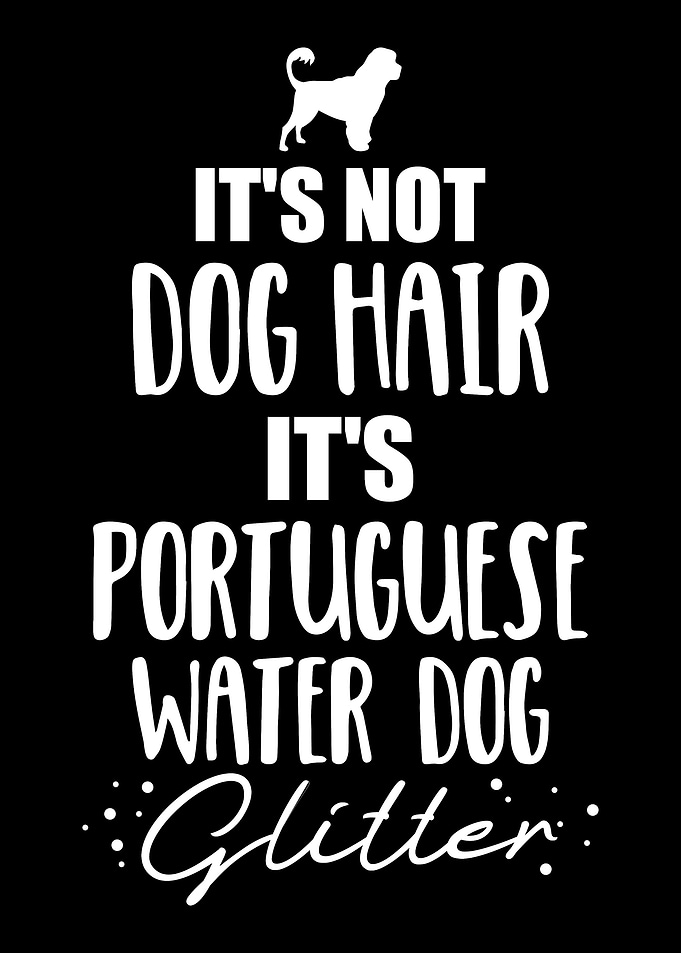 Portuguese Water Dog