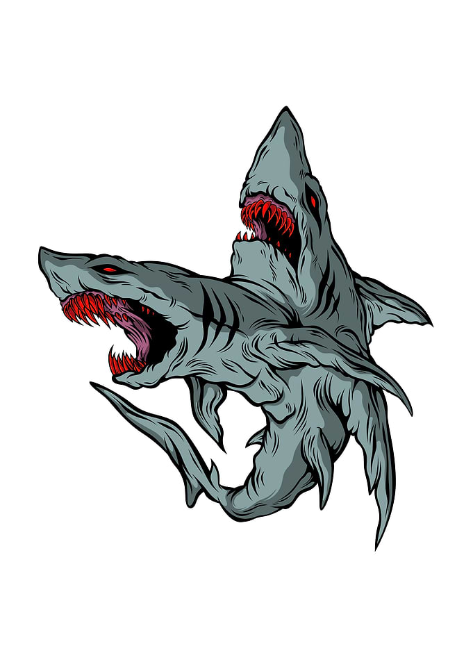 Shark