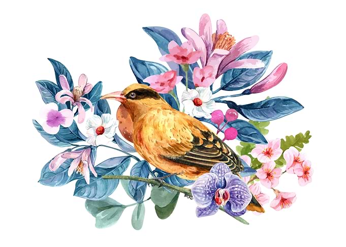 Bird