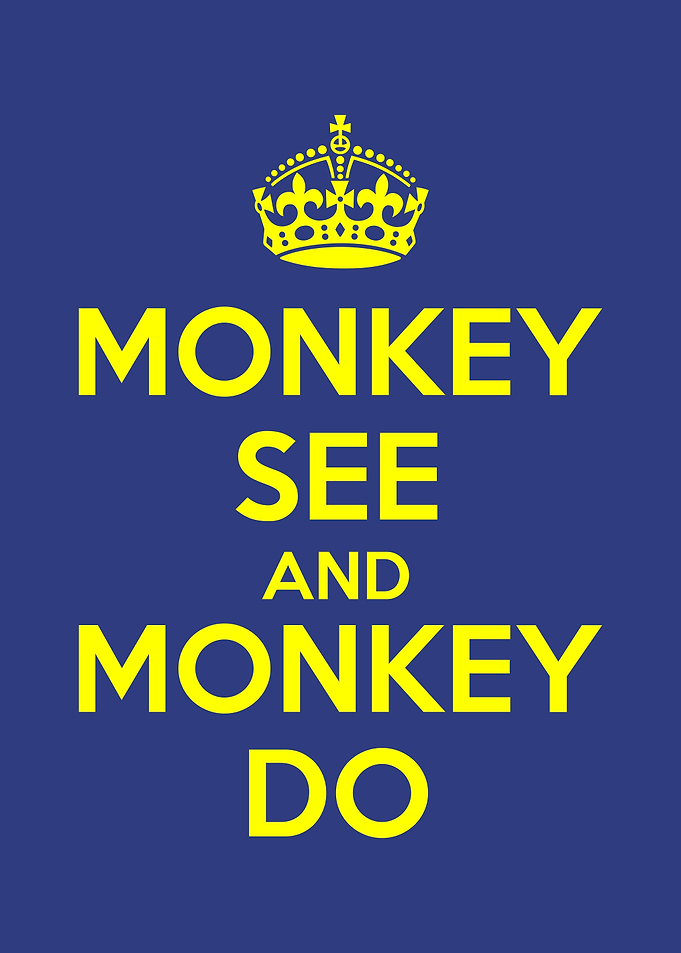 monkey see and monkey do