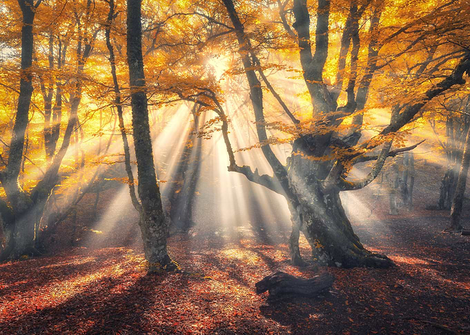Autumn 13
