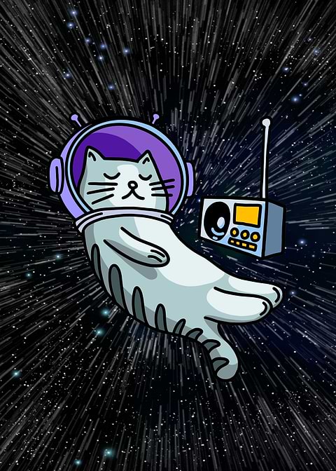 Space Cat