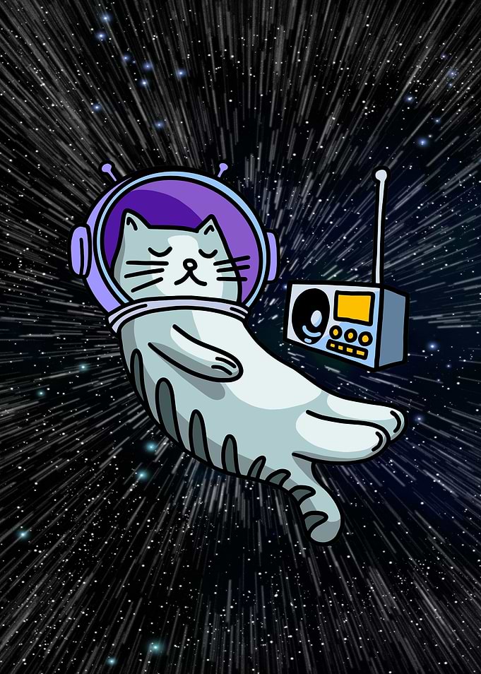 Space Cat