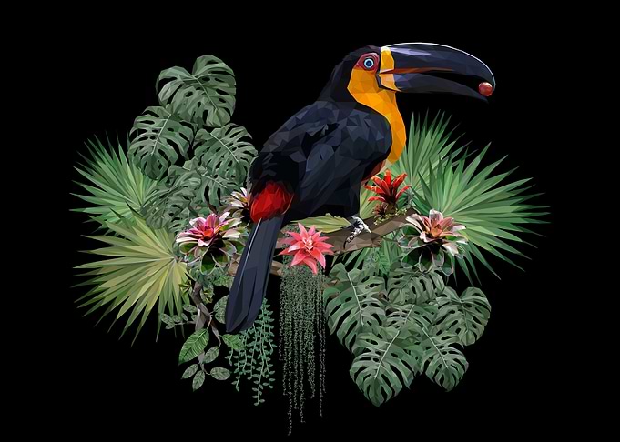 Bird