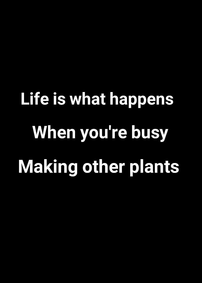 quote of life