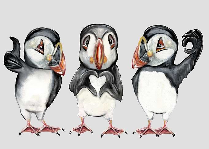 Cool Puffins