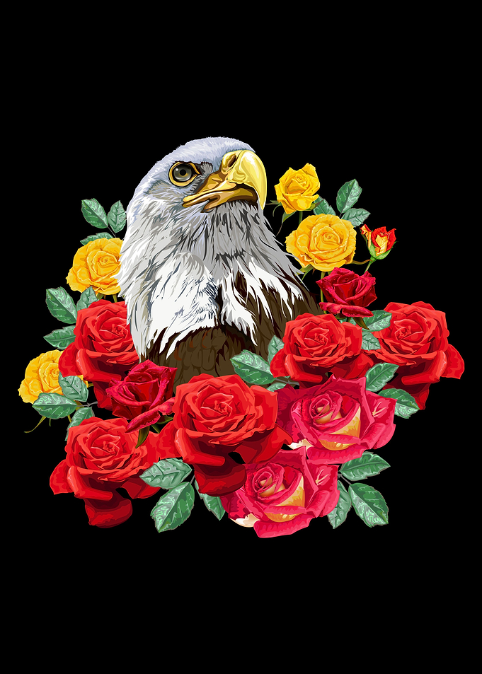 Raptor
