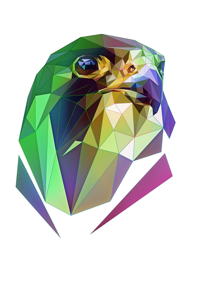 falcon on modern art