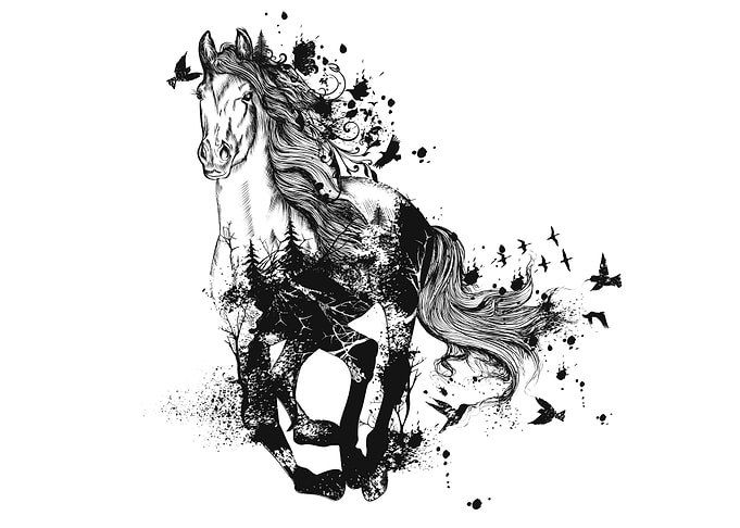 Horse