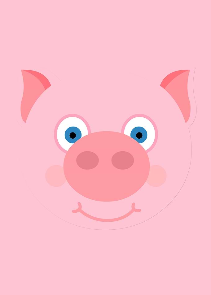 Happy piggy
