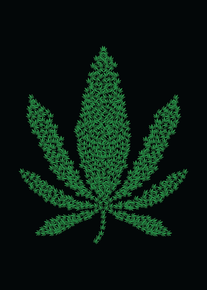 Marijuana leaf weed leaves