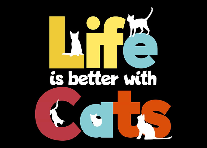 Cats gift
