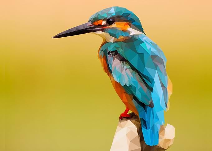 Kingfisher Lowpoly