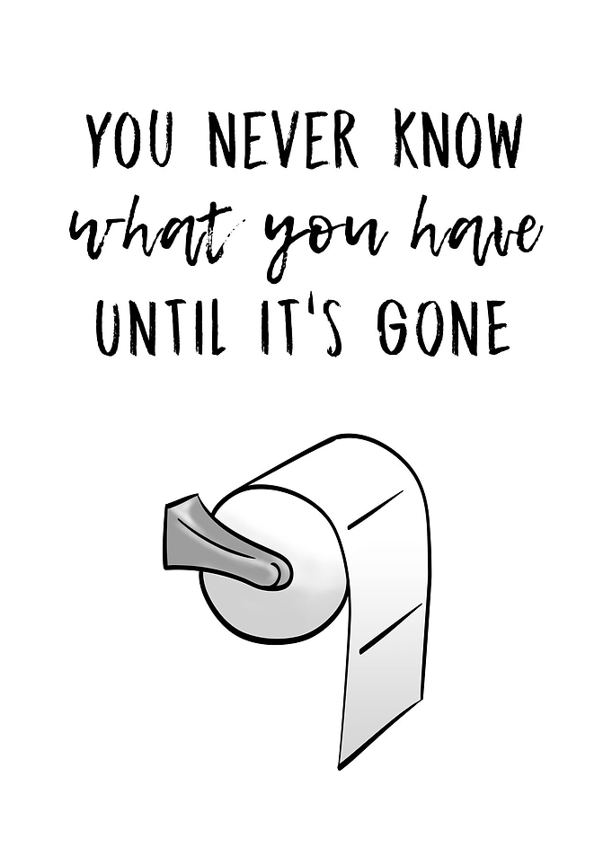 Toilet Paper Crisis