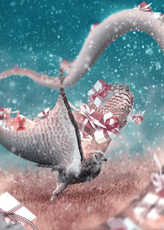 Christmas Delivery