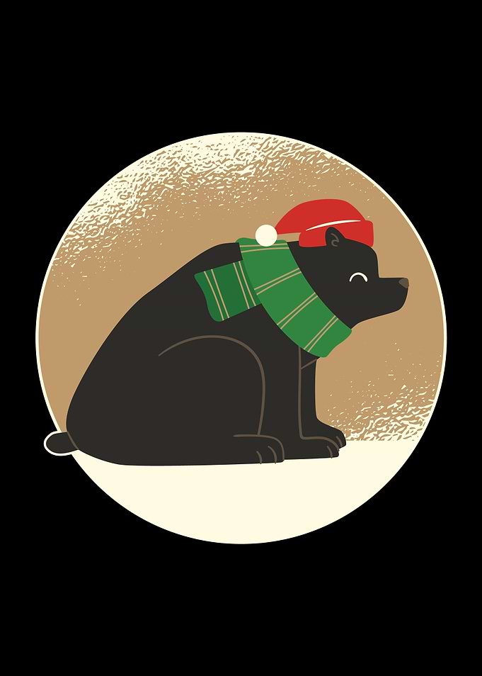 CHRISTMAS BEAR