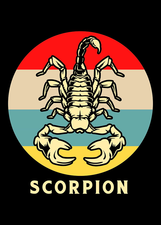 Scorpion Retro Colorful