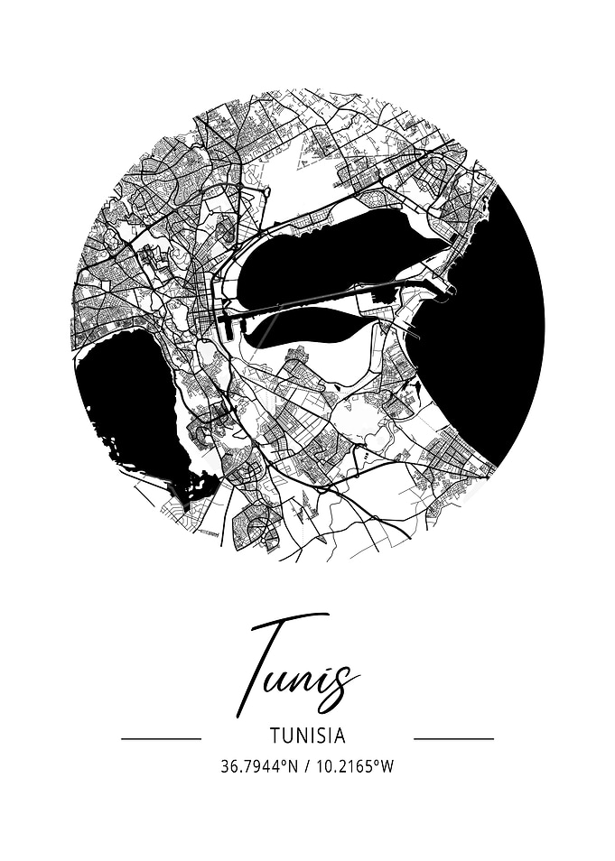Tunis Area City Map