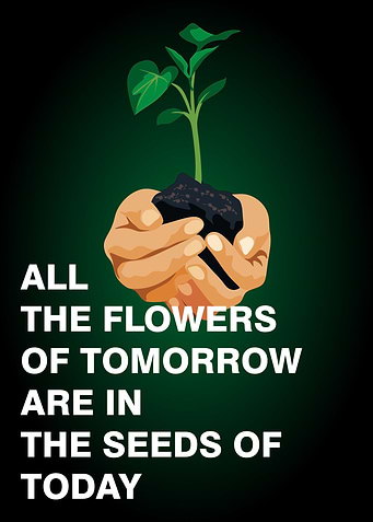 All the flowers