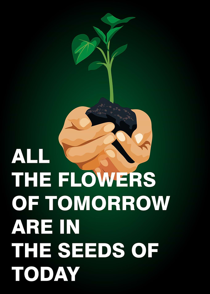 All the flowers