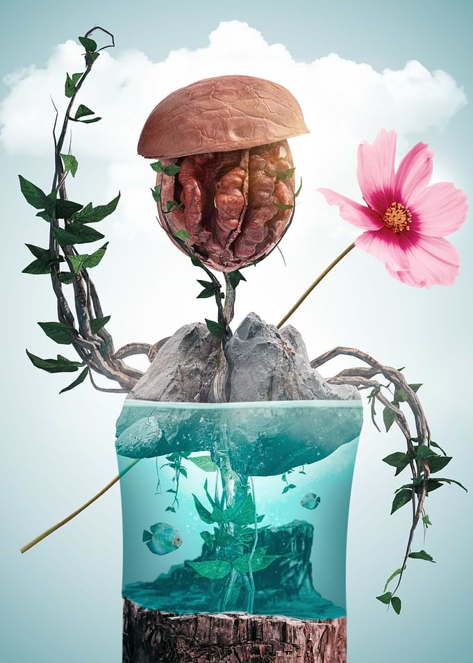 Soldier of Nature