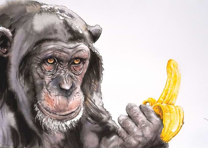 Banana Anyone