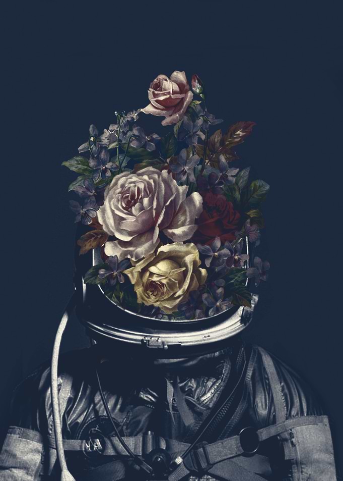 Flower Head II