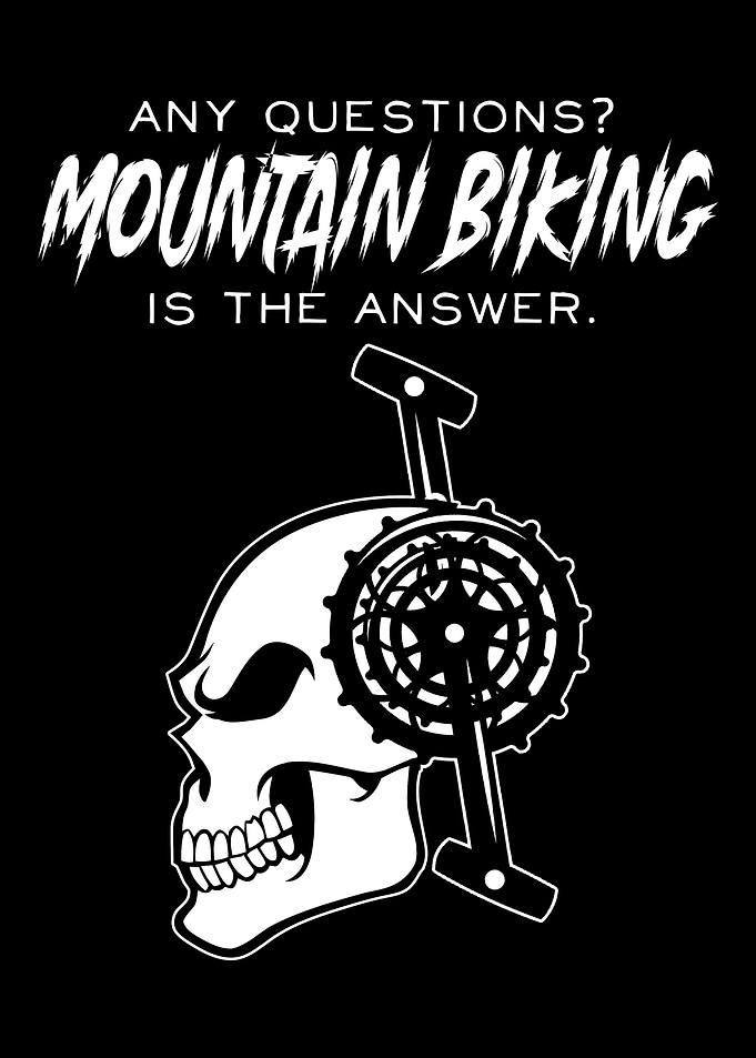 Bike gift