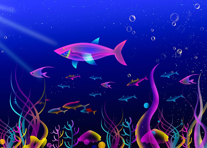 Colorful Fishes underwater