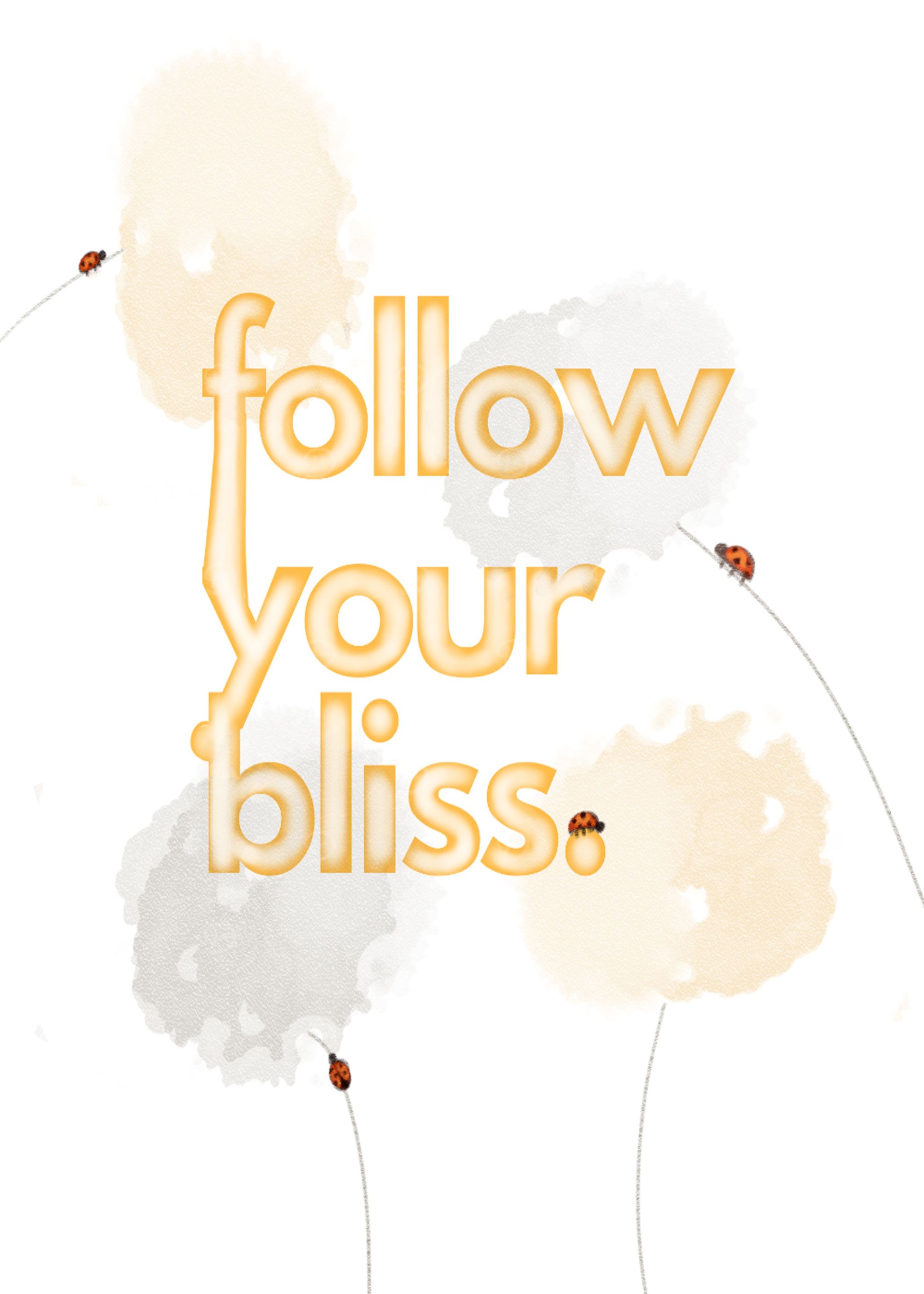Follow Your Bliss