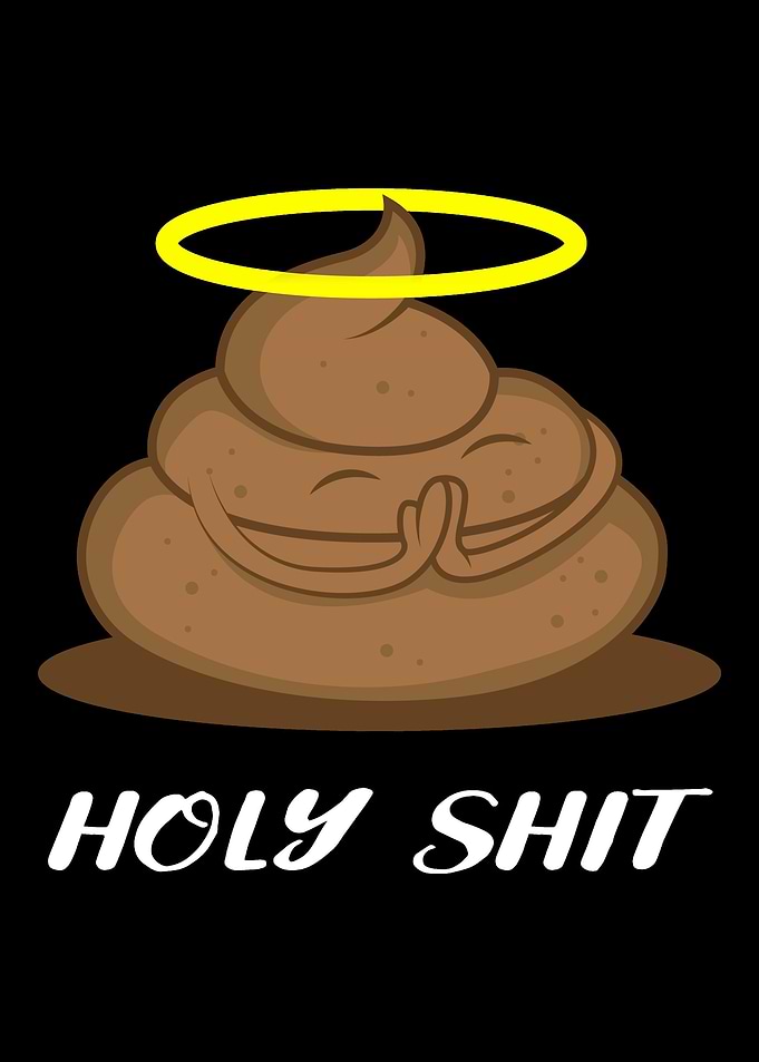 Holy Shit Pun Fanatic Gift