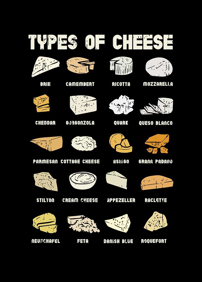 Funny Cheese Food