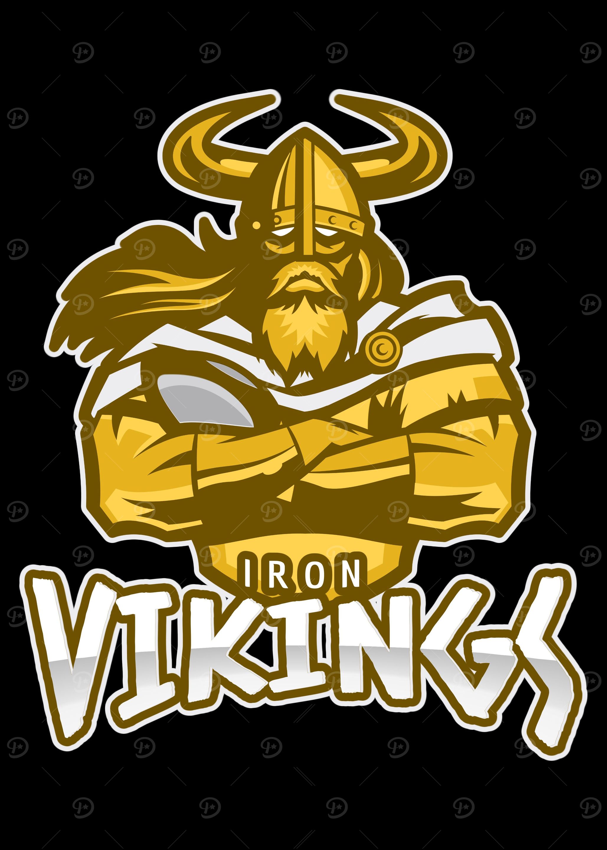 Iron Viking Warrior
