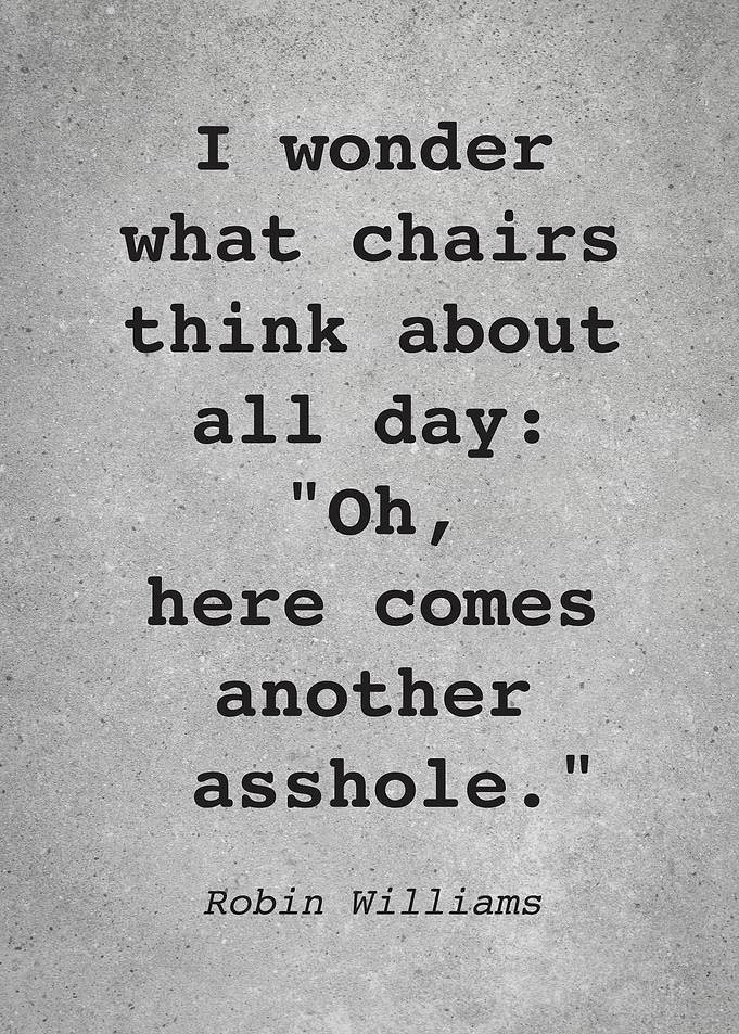 Robin Williams Quote L007