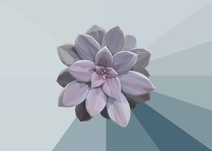 Violet Succulent